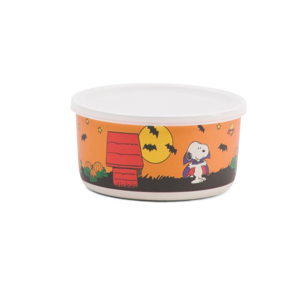Peanuts Halloween bamboo bowl with lid NEW! Peanuts characters pumpkin bats